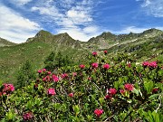 Anello Laghi di Porcile-Passo di Tartano, Cima-Passo di Lemma da Baita del Camoscio (5 luglio 2021)- FOTOGALLERY